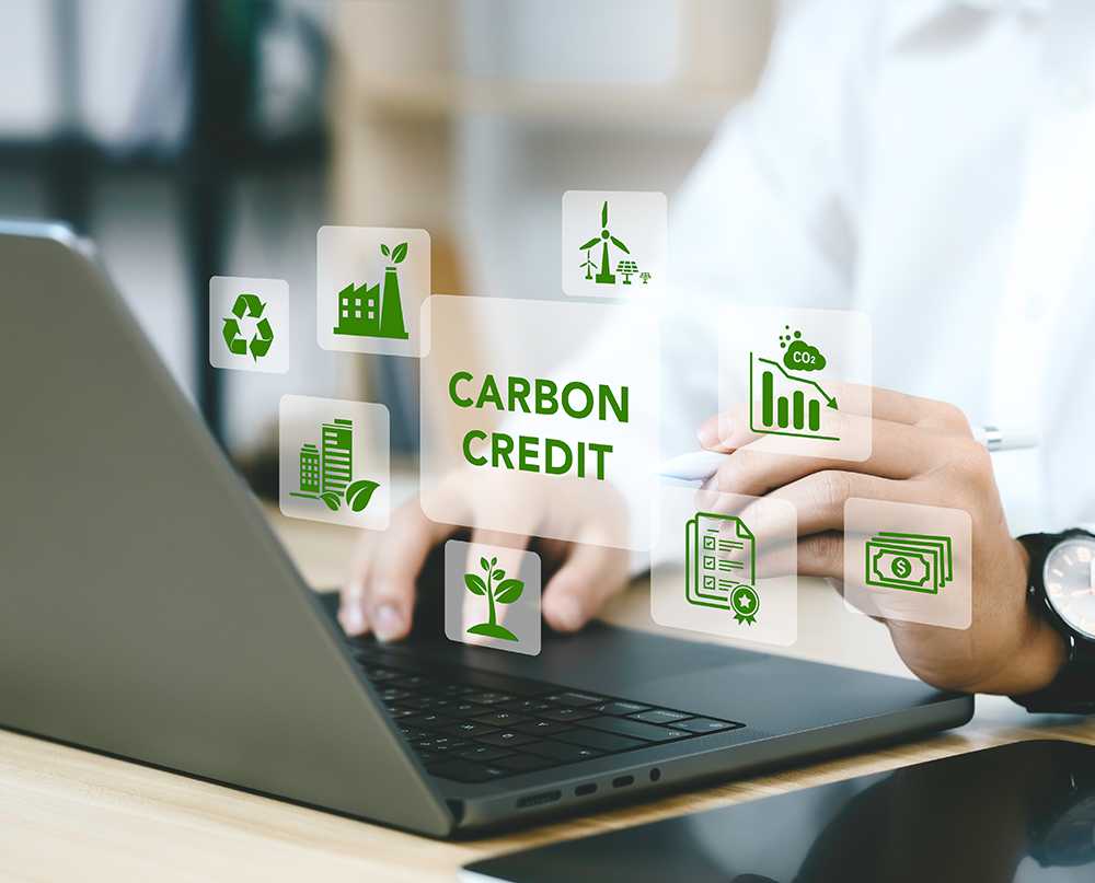 carboncredit